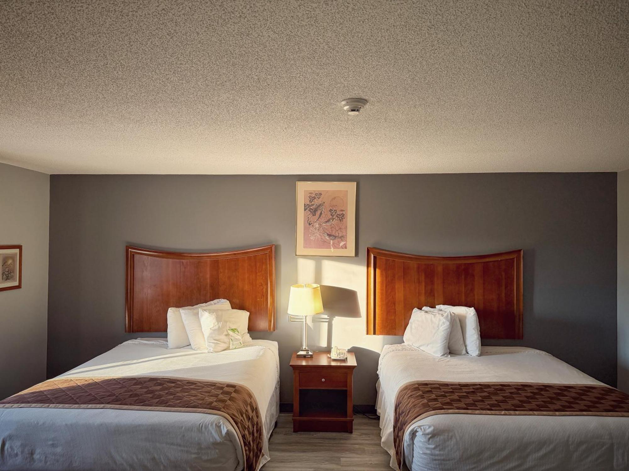 Lake Tree Inn & Suites 매리언 외부 사진